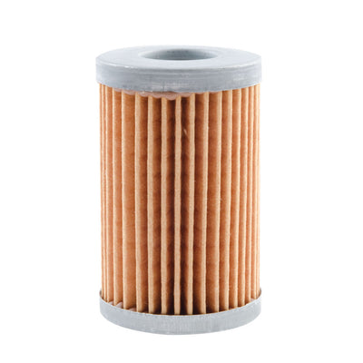 Neutron Oil Filter#124554-P