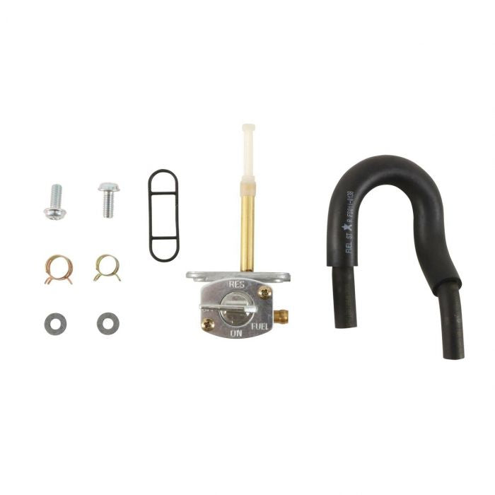 Fuel Star FS101-0220 Fuel Valve Kit #FS101-0220