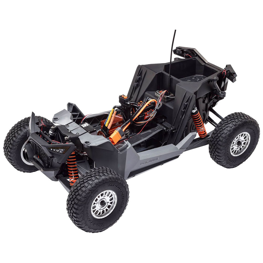Losi Polaris RZR Rey 4X4 1:10 Scale Polaris Blue#LOS03029T1