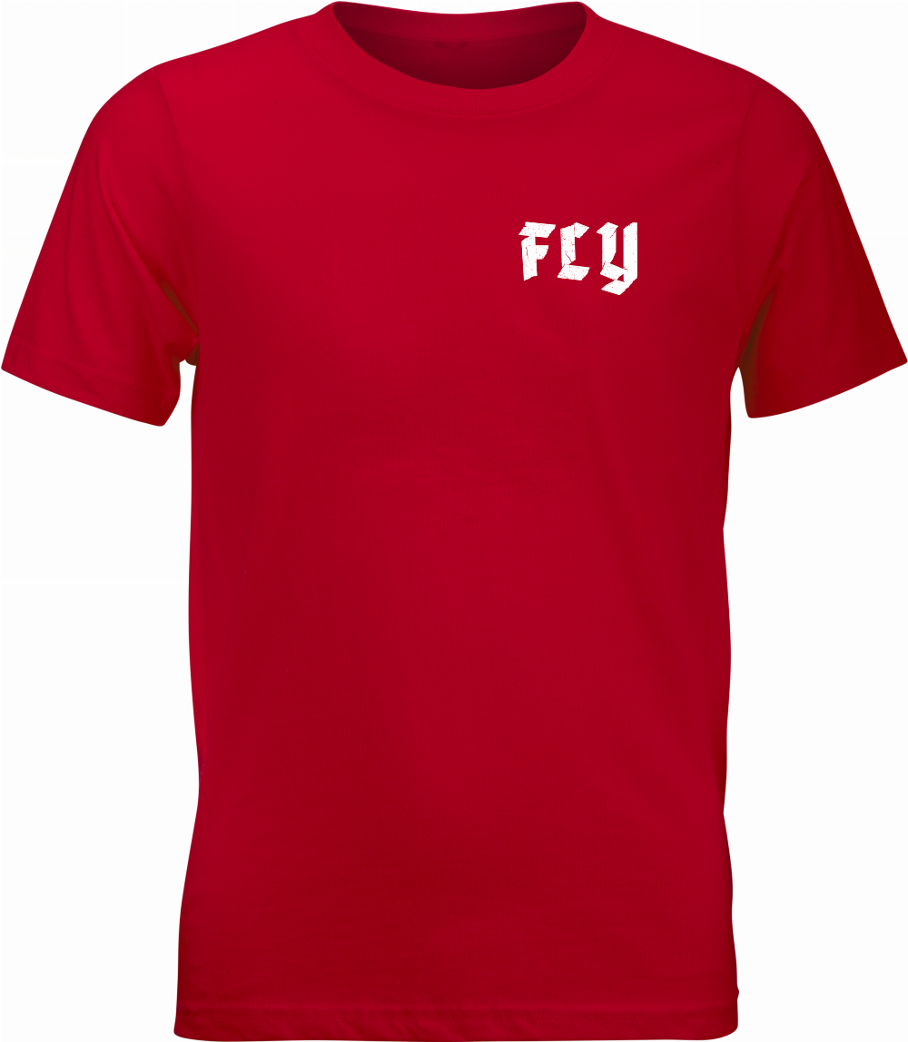 Fly Racing Youth Moto Mind Tee #352-0430YL