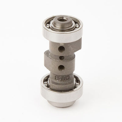 Hotcams 4019-1 Camshaft #4019-1
