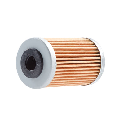 Neutron Oil Filter#124554-P