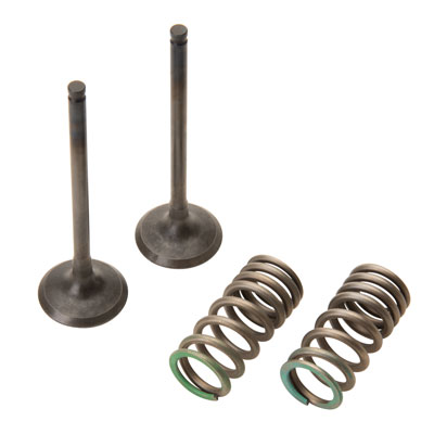 Pro X Steel Exhaust Valve/Spring Kit#mpn_