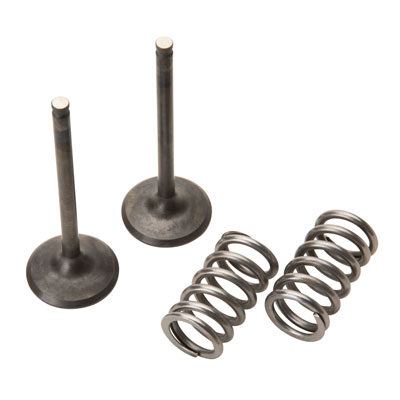 Pro X Steel Exhaust Valve/Spring Kit#127512-P