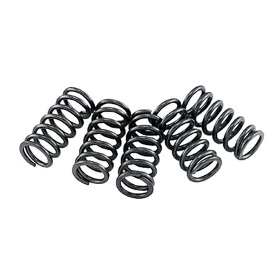 EBC Clutch Spring Set #CSK-73