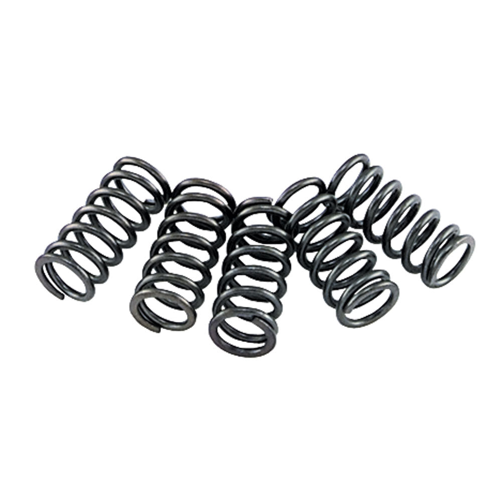 EBC Clutch Spring Set #CSK-79