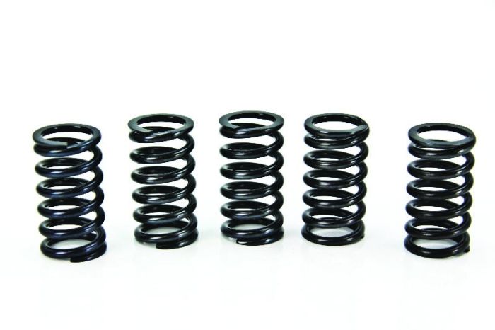 Prox 17.CS44020 Clutch Spring Kit #17.CS44020