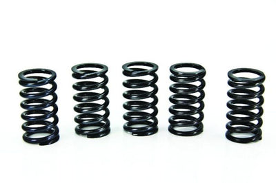 Prox 17.CS44020 Clutch Spring Kit #17.CS44020