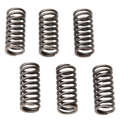 Tusk Clutch Spring Set#mpn_TS-1024