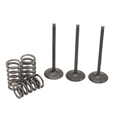 Pro X Steel Intake Valve/Spring Kit#mpn_28.SIS2424-2