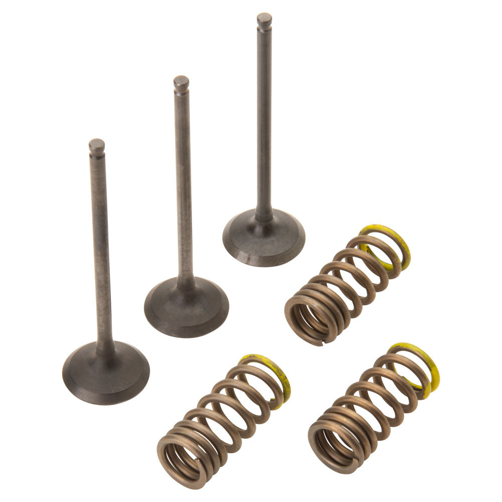 Pro X Steel Intake Valve/Spring Kit#mpn_28.SIS2402-2