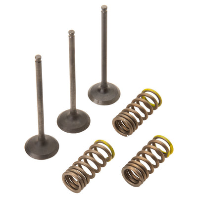 Pro X Steel Intake Valve/Spring Kit#mpn_28.SIS2402-2