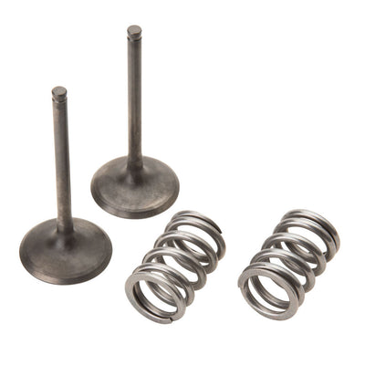 Pro X Steel Intake Valve/Spring Kit #28.SIS3408-2
