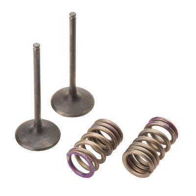 Pro X Steel Intake Valve/Spring Kit#mpn_28.SIS4336-2