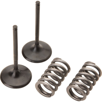 Pro X Steel Intake Valve/Spring Kit #28.SIS1409-2