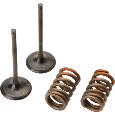 Pro X Steel Intake Valve/Spring Kit #28.SIS4341-2