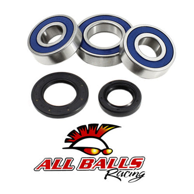 All Balls Wheel Bearing Kit - Rear 25-1110 #25-1110