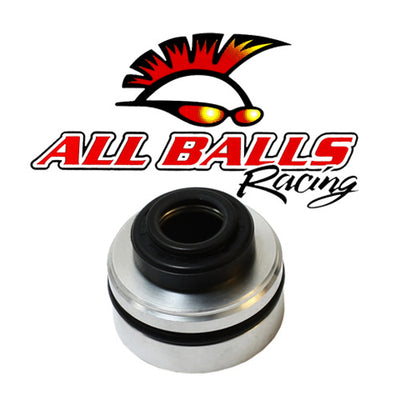 REAR SHOCK SEAL KIT, 46X18#mpn_37-1117