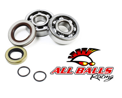 CRANK BEARING AND SEAL KIT#mpn_24-1103