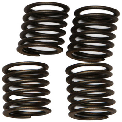 EBC CLUTCH SPRINGS#mpn_CSK147