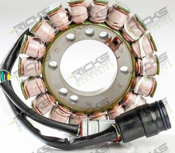 RICK'S ELECTRIC SKI DOO STATOR #24-104