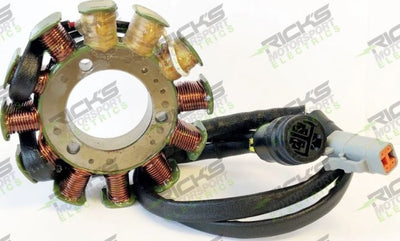 RICK'S ELECTRIC SKI DOO STATOR #24-112