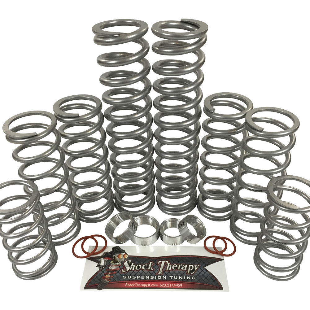 Shock Therapy Level 4 Dual Rate Spring Kit #100-1049-04