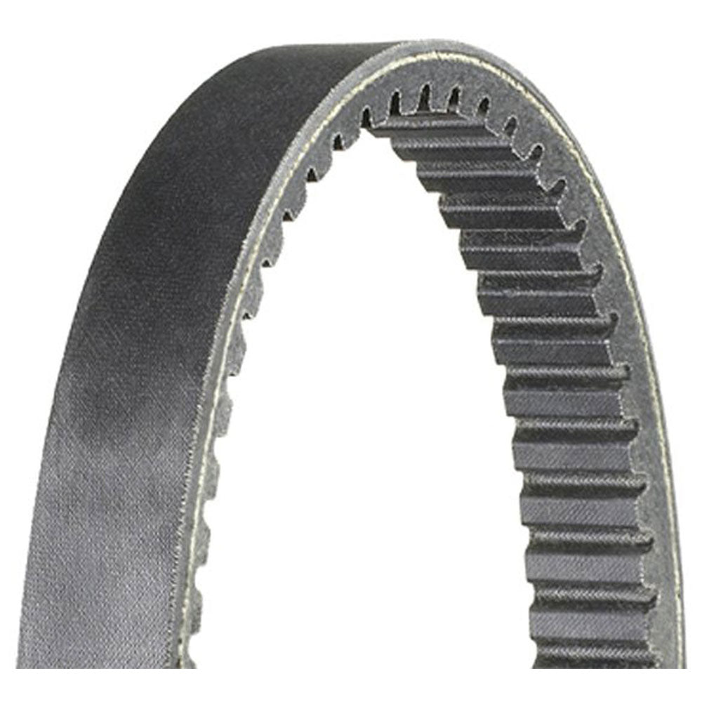 Dayco HP2037 Drive Belt #HP2037