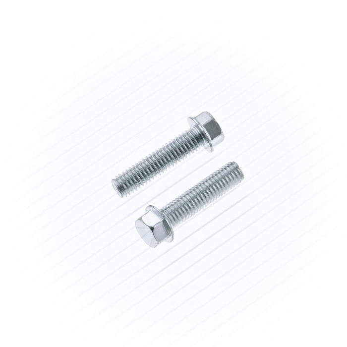 8MM HEX FLNG BOLT 6X25MM 10/PK#mpn_024-10625