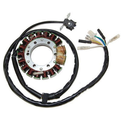 Electrosport ESG169 Stator #ESG169