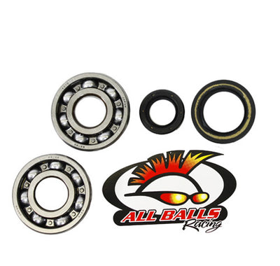 ALLBALLS CRANK BEARING AND SEAL KIT#mpn_24-1003