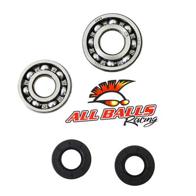ALLBALLS CRANK BEARING AND SEAL KIT#mpn_24-1007