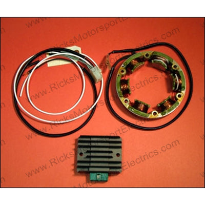 RICK'S ELECTRIC, H.O. KIT: REC/REG & STATOR#mpn_99-101