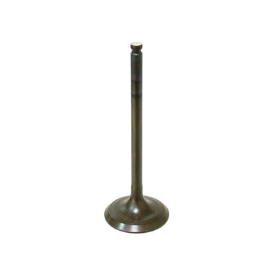 BRONCO INTAKE VALVE, PC#mpn_AU-09160I