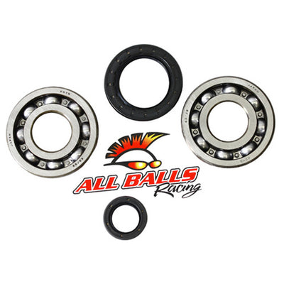 ALLBALLS CRANK BEARING AND SEAL KIT#mpn_24-1004