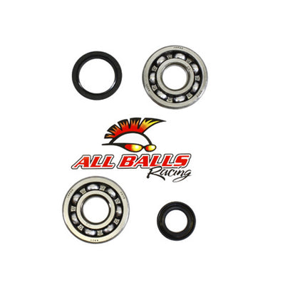 ALLBALLS CRANK BEARING AND SEAL KIT#mpn_24-1014