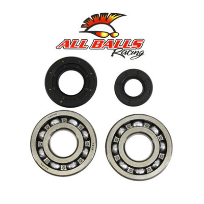 ALLBALLS CRANK BEARING AND SEAL KIT#mpn_24-1029