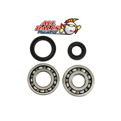 ALL BALLS CRANK BEARING AND SEAL KIT#mpn_24-1069