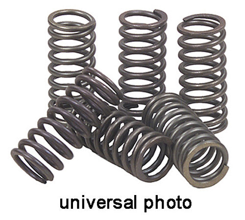 EBC CLUTCH SPRINGS#mpn_CSK118